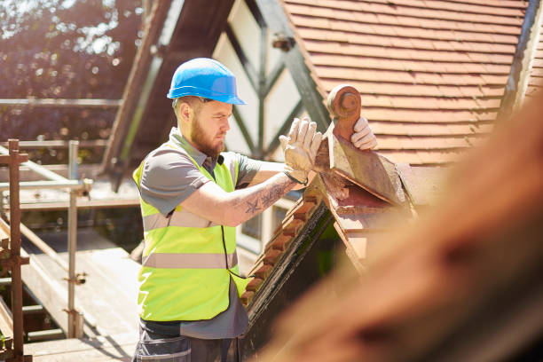 Best Roof Gutter Cleaning  in Brusly, LA